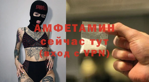 стафф Алзамай