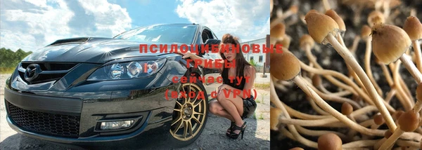 стафф Алзамай