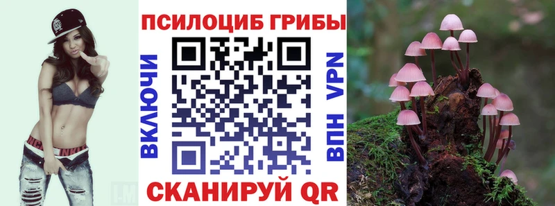 Псилоцибиновые грибы Cubensis  Константиновск 